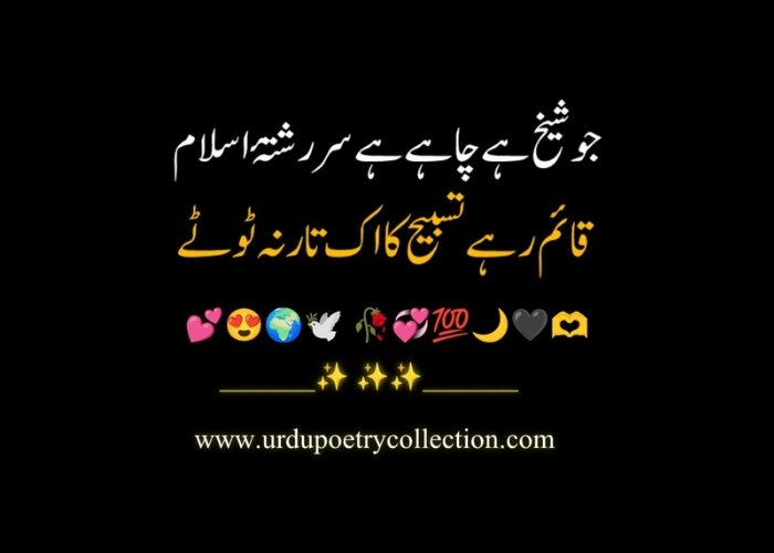 2 lines Islamic poetry in Urdu