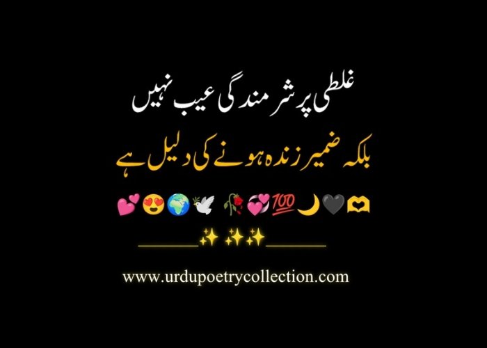 Islamic Poetry in Urdu 2 lines