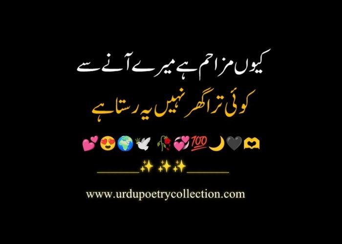 Shayari in Urdu 2 lines 