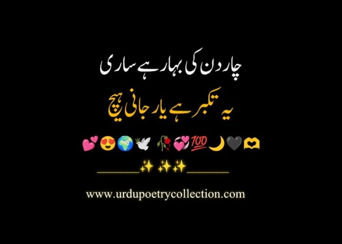 Best Urdu poetry in 2 lines