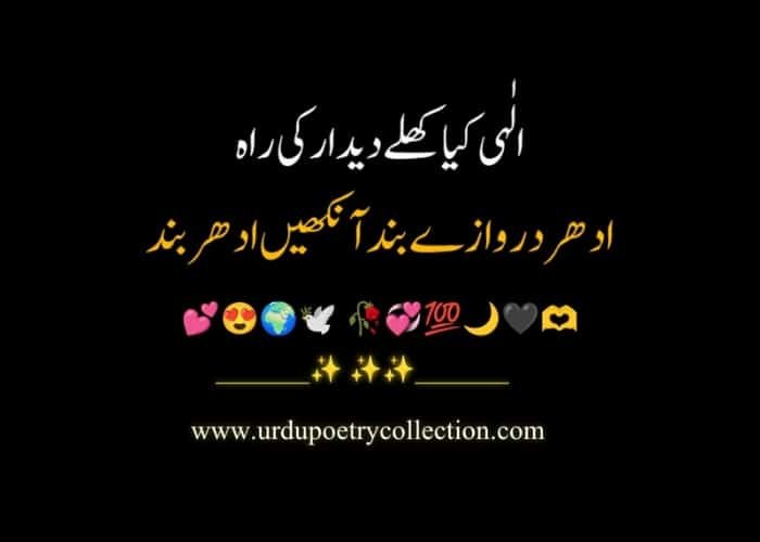 Love Urdu poetry