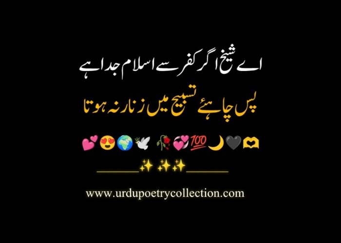 Poetry for Islam