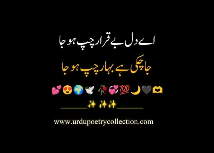 Poetry in Urdu shayari