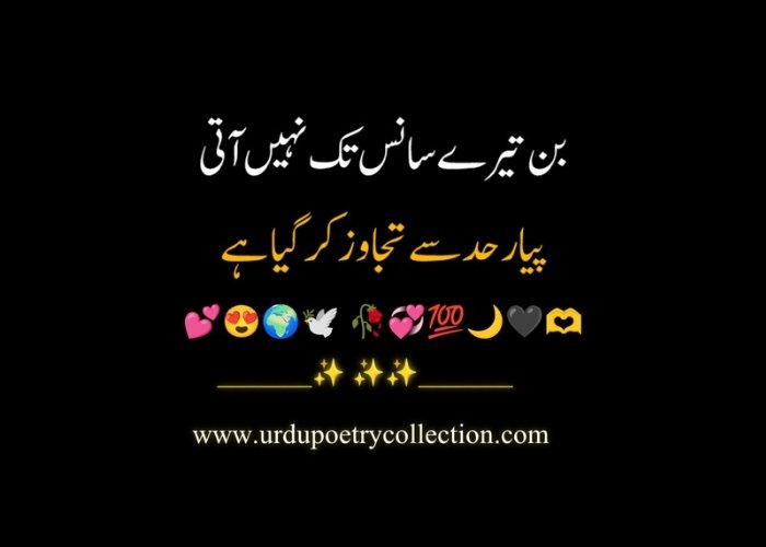 Sad poetry in Urdu 2 lines