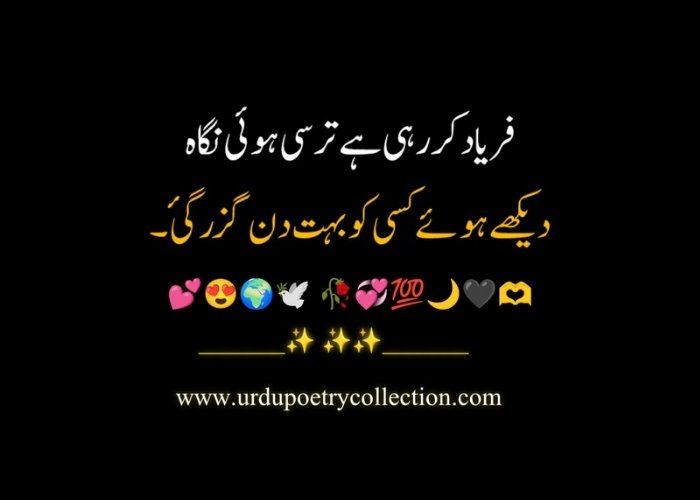 Sad poetry in Urdu text