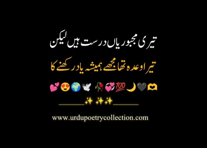 Sad shayari in Urdu for love