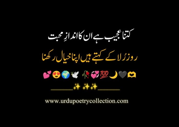 Sad Urdu poetry text