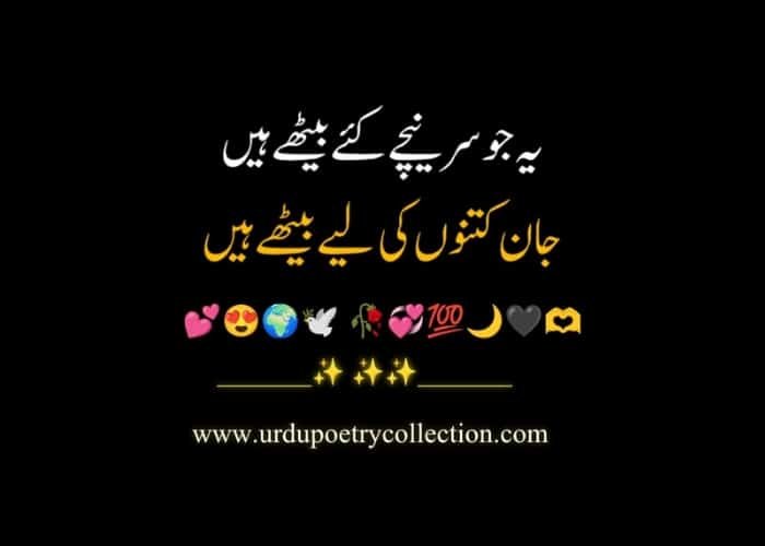 Shayari Urdu language