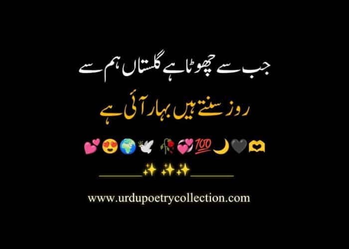 Urdu poetry Urdu shayari