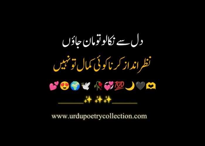 Urdu sad poem