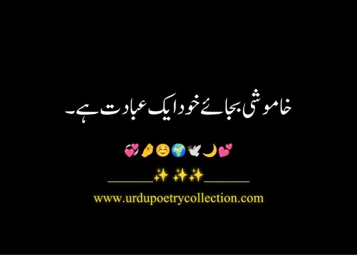 Best Islamic quotes in Urdu text