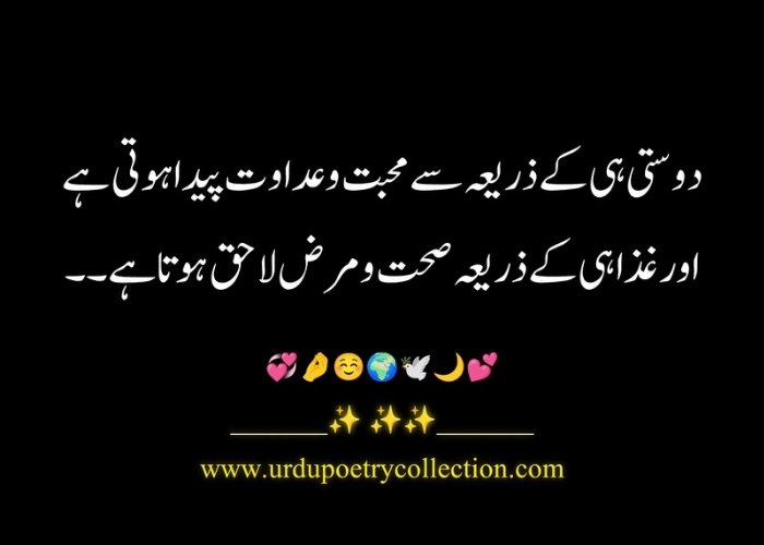 Top 50 Islamic quotes in Urdu for life