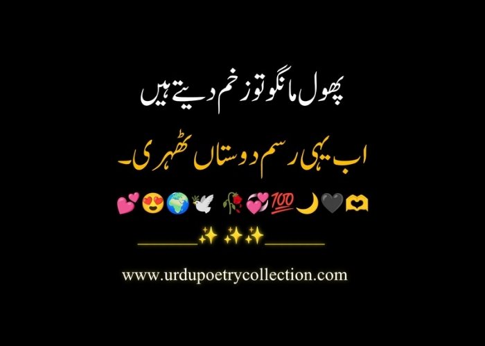 Udass Poetry in Urdu text