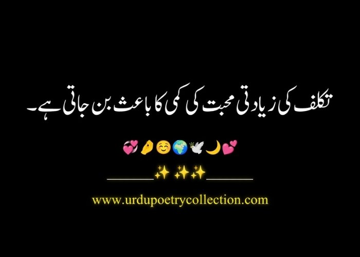 Quotes Islamic Urdu