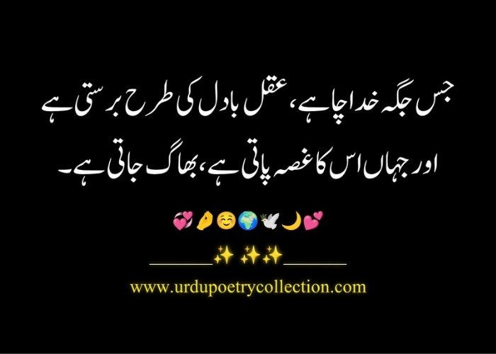 Quotes of Islam in Urdu